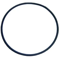 Joint Torique Corps Moteur, Pompe Piscine Alaska - Sena. D. 118x5 Astralpool